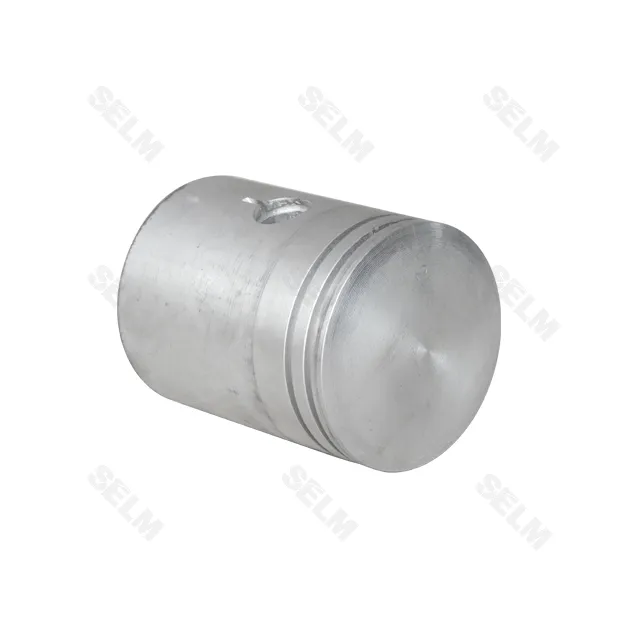 Поршень Р-2 ПД