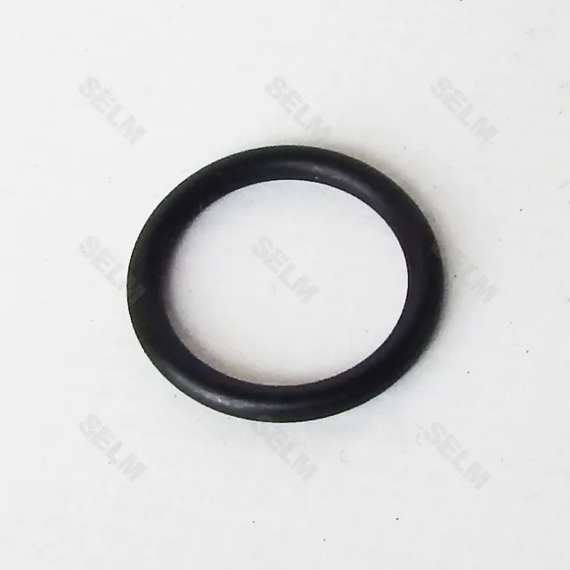 Ущільнення 16,3х2,4 Claas  - GERMANY